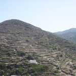 DSC03854.jpg