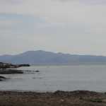 DSC07216.JPG