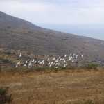 DSC07270.JPG