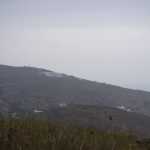 DSC07318.JPG