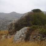 DSC07326.JPG