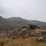DSC07328.JPG
