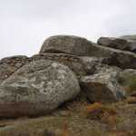 DSC07330.JPG