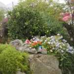 DSC07332.JPG