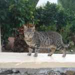 DSC07367.JPG
