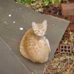 DSC07402.JPG