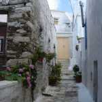 DSC07470.JPG