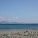 DSC07493.JPG