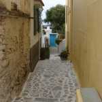 DSC07514.JPG