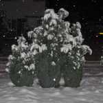IMG_1290.JPG