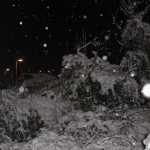 IMG_1293.JPG