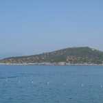 IMG_0888.JPG