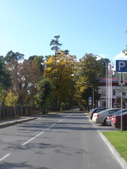 DSC07611.JPG