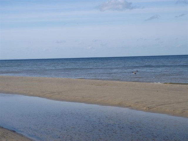 DSC07622.JPG