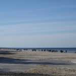 DSC07625.JPG
