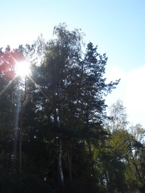 DSC07626.JPG