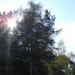 DSC07626.JPG