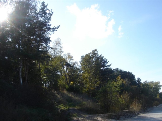 DSC07628.JPG