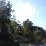 DSC07628.JPG