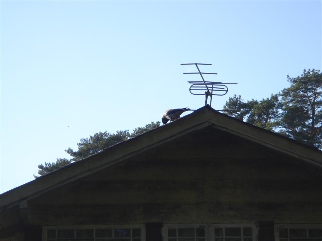 DSC07636.JPG