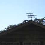 DSC07636.JPG