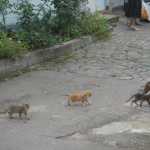 DSC07177.JPG