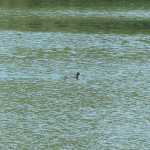 IMG_2263.JPG