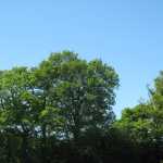 IMG_2274.JPG