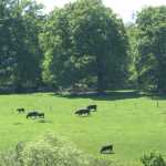 IMG_2275.JPG