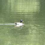 IMG_2281.JPG