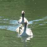 IMG_2295.JPG