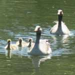 IMG_2296.JPG