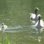 IMG_2297.JPG