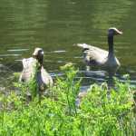IMG_2300.JPG