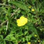 IMG_2306.JPG