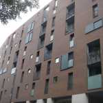 DSC06504.JPG