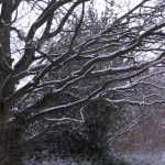 IMG_0283.JPG