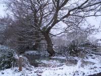 Highlight for Album: Snow Storms over the UK - 1st-2nd Feb 2009
