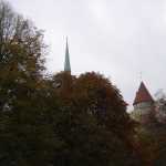 DSC07718.JPG