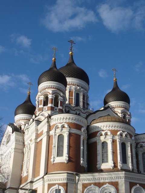 DSC07742.JPG
