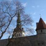 DSC07748.jpg