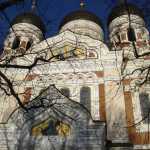 DSC07750.JPG