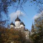 DSC07780.JPG