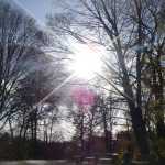 DSC07781.JPG
