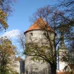 DSC07782.JPG