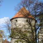 DSC07783.JPG