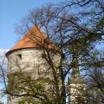 DSC07784.JPG