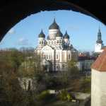 DSC07787.JPG