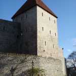 DSC07790.JPG
