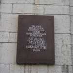 DSC07800.JPG